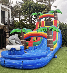 ( 18 Ft Tall ) Dolphin Water or Dry Slide